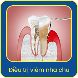dich-vu-dieu-tri-viem-nha-chu