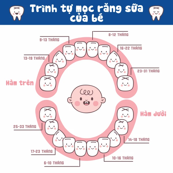 quy-trinh-moc-rang-sua