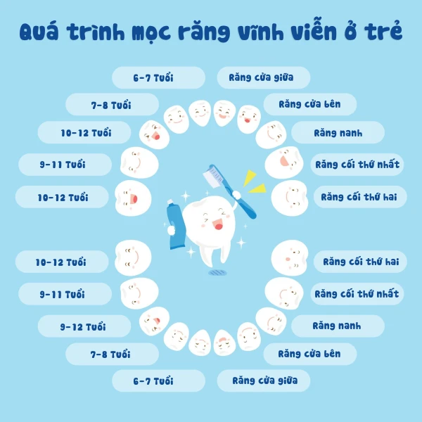 quy-trinh-moc-rang-vinh-vien