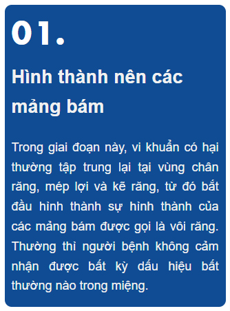 giai-doan-viem-nha-chu-1