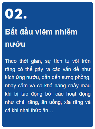 giai-doan-viem-nha-chu-2