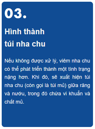giai-doan-viem-nha-chu-3