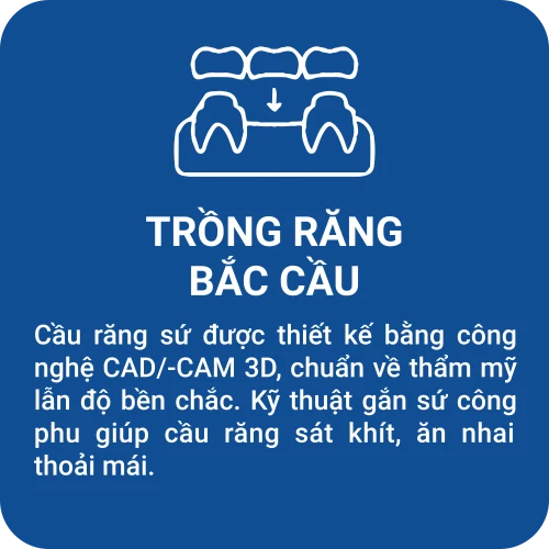 gioi-thieu-trong-rang-bac-cau